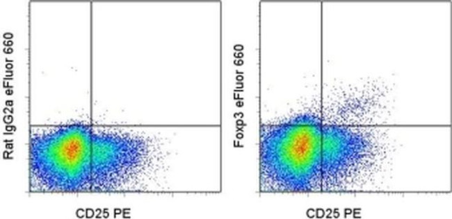 FOXP3 Antibody in Flow Cytometry (Flow)