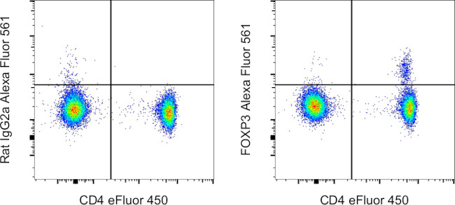 FOXP3 Antibody in Flow Cytometry (Flow)