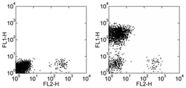 CD3 Antibody in Flow Cytometry (Flow)