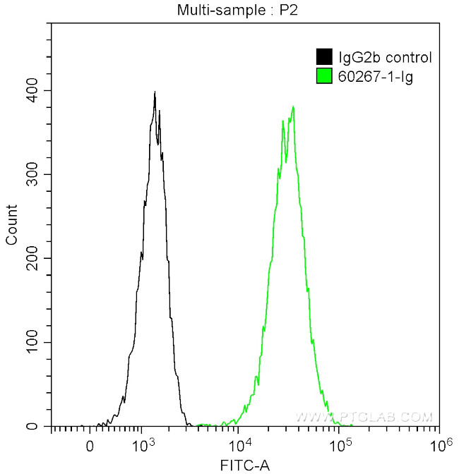 BAX Antibody in Flow Cytometry (Flow)