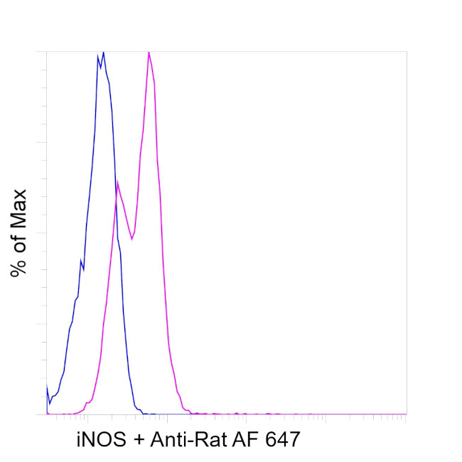 iNOS Antibody in Flow Cytometry (Flow)