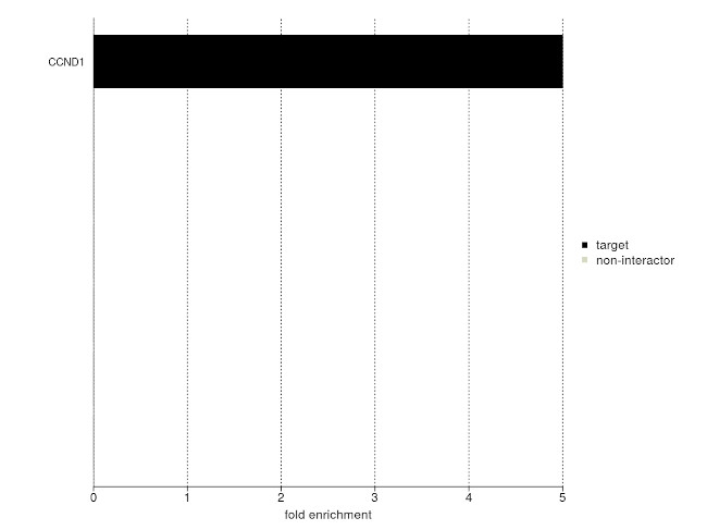 Cyclin D1 Antibody