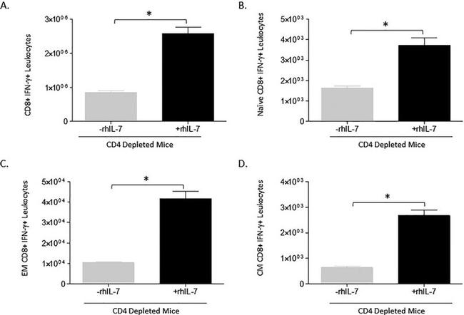 CD3e Antibody in Flow Cytometry (Flow)