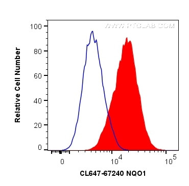 NQO1 Antibody in Flow Cytometry (Flow)