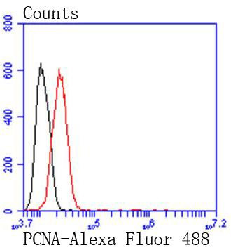 PCNA Antibody in Flow Cytometry (Flow)