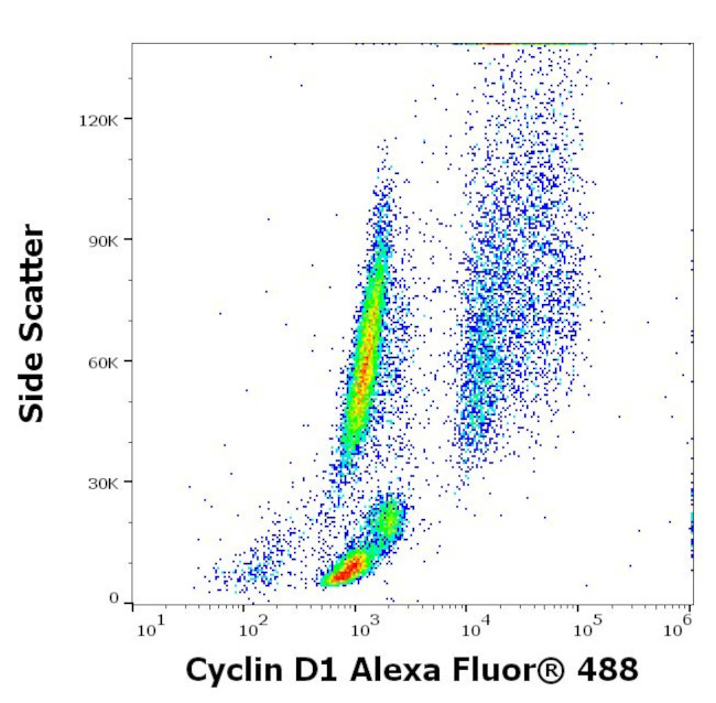 Cyclin D1 Antibody in Flow Cytometry (Flow)