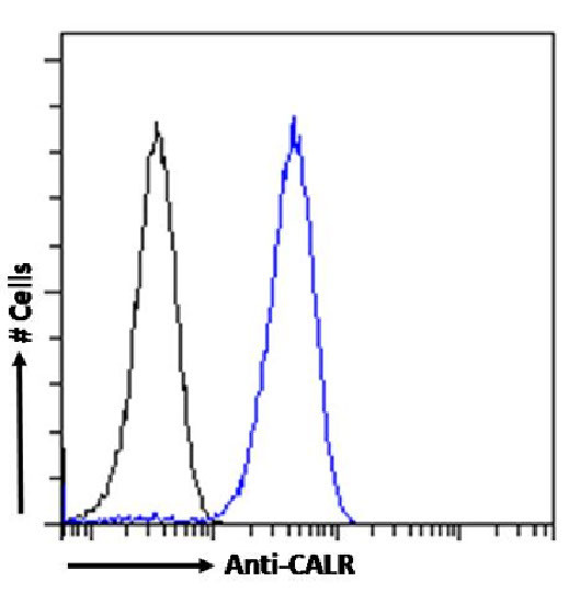 Calreticulin Antibody in Flow Cytometry (Flow)