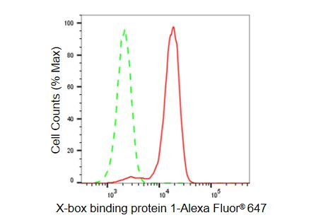 XBP1 Antibody in Flow Cytometry (Flow)