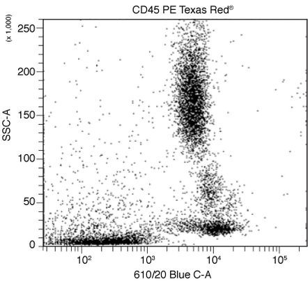 CD45 Antibody in Flow Cytometry (Flow)