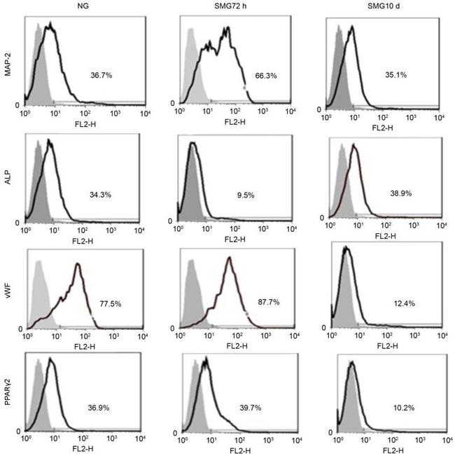 PPAR gamma Antibody in Flow Cytometry (Flow)