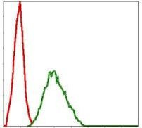 NQO1 Antibody in Flow Cytometry (Flow)