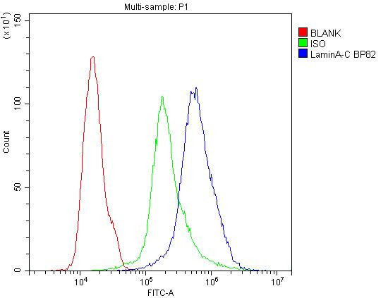 Lamin A/C Antibody in Flow Cytometry (Flow)