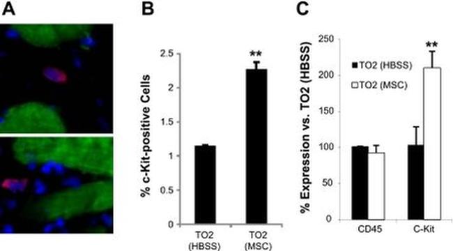 CD117 (c-Kit) Antibody in Flow Cytometry (Flow)