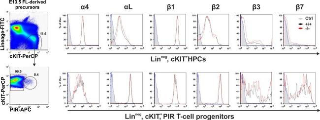 CD117 (c-Kit) Antibody in Flow Cytometry (Flow)