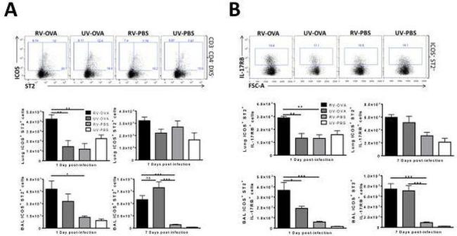 CD3e Antibody in Flow Cytometry (Flow)