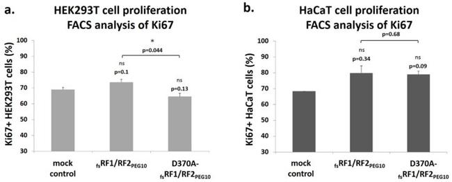 Ki-67 Antibody in Flow Cytometry (Flow)