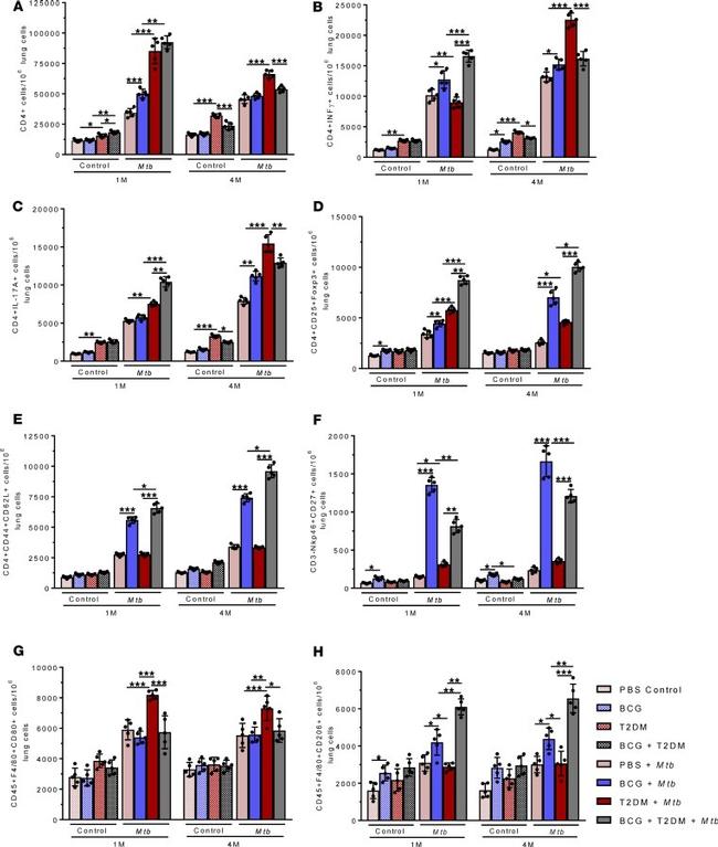 IFN gamma Antibody in Flow Cytometry (Flow)