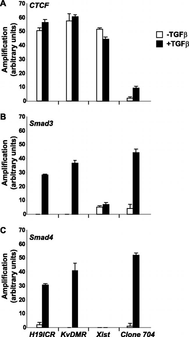 SMAD3 Antibody in ChIP Assay (ChIP)