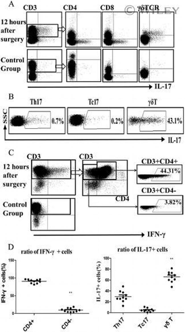 CD3e Antibody in Flow Cytometry (Flow)