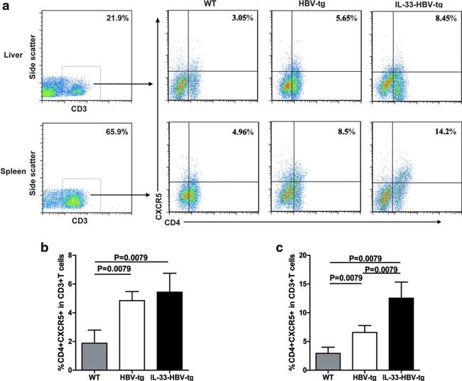 CD3 Antibody in Flow Cytometry (Flow)