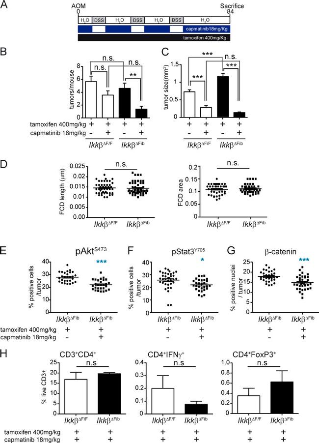 CD3 Antibody in Flow Cytometry (Flow)