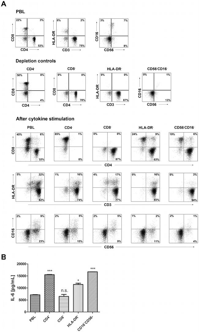 CD3 Antibody in Flow Cytometry (Flow)