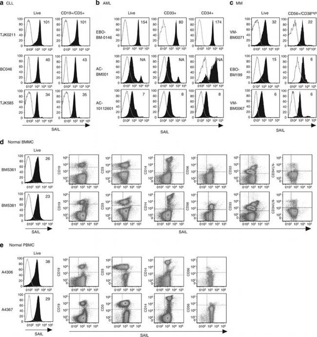 CD3 Antibody in Flow Cytometry (Flow)