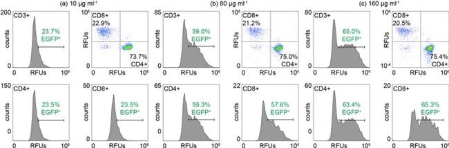 CD3 Antibody in Flow Cytometry (Flow)