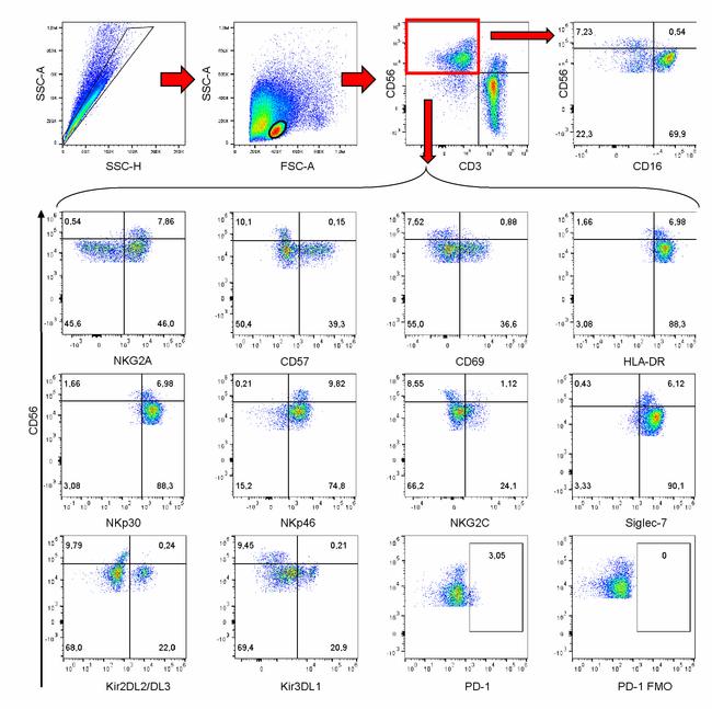 CD3 Antibody in Flow Cytometry (Flow)