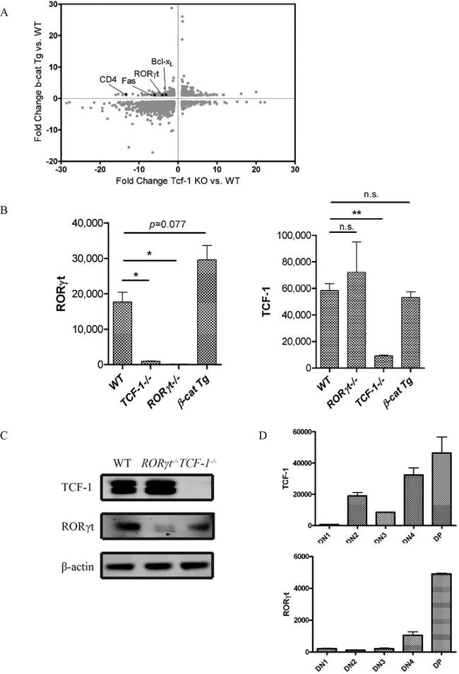 CD25 Antibody in Flow Cytometry (Flow)