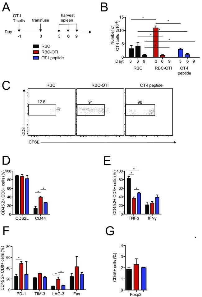 CD8a Antibody in Flow Cytometry (Flow)