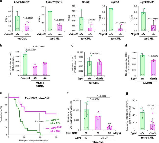 CD45R (B220) Antibody in Flow Cytometry (Flow)