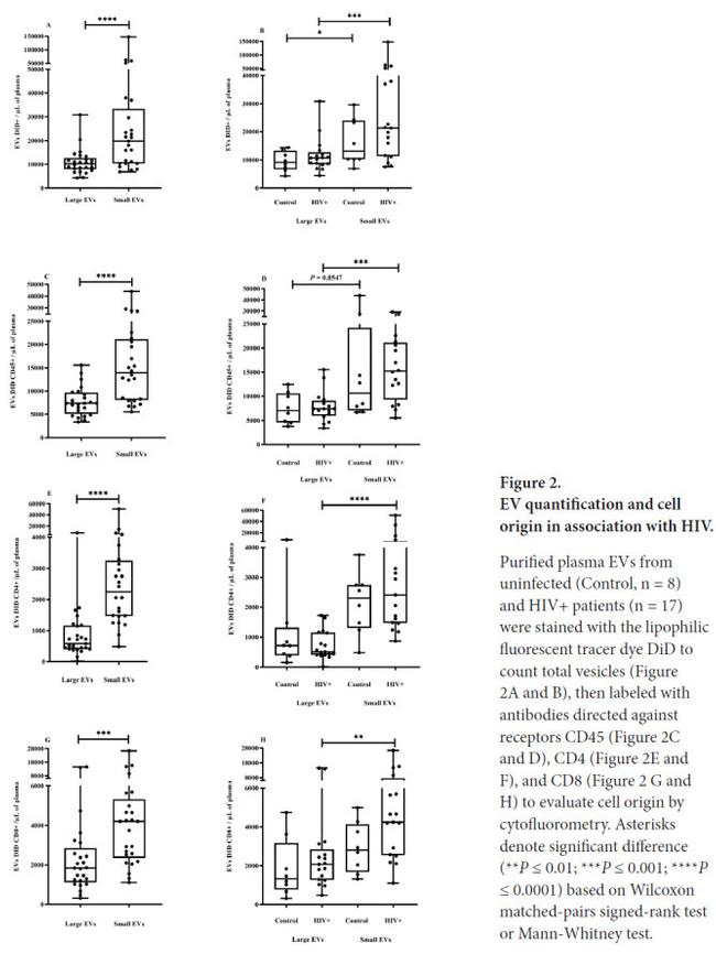 CD45 Antibody in Flow Cytometry (Flow)