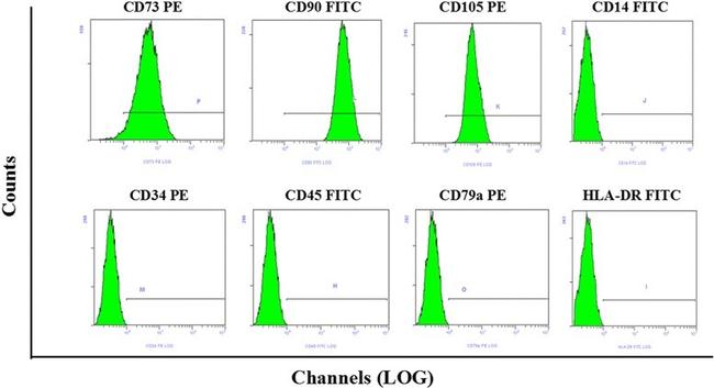 CD45 Antibody in Flow Cytometry (Flow)