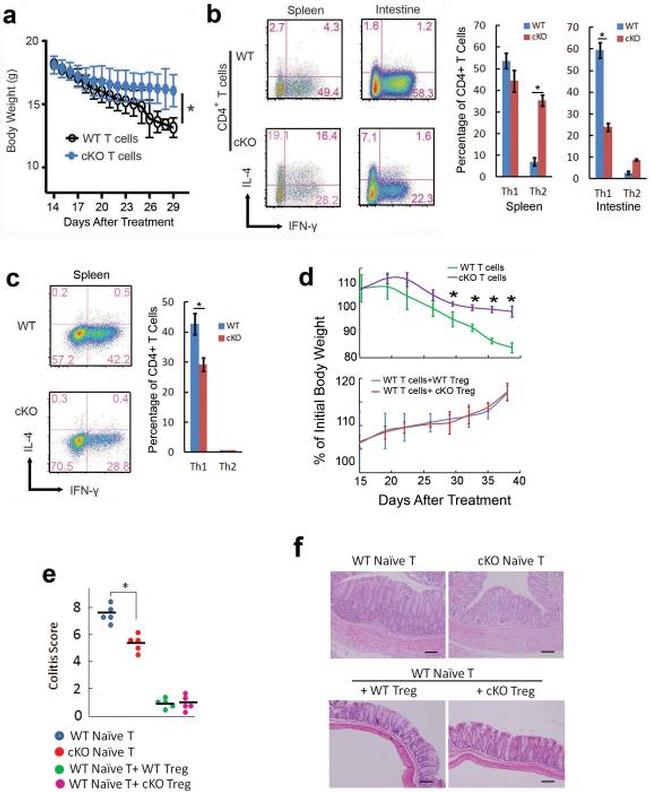 CD25 Antibody in Flow Cytometry (Flow)