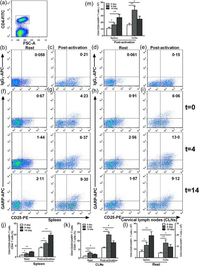 CD25 Antibody in Flow Cytometry (Flow)