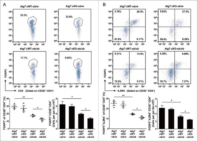 CD3e Antibody in Flow Cytometry (Flow)