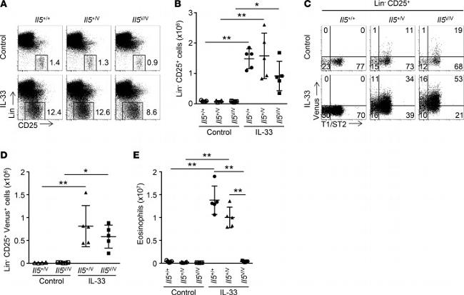 CD25 Antibody in Flow Cytometry (Flow)