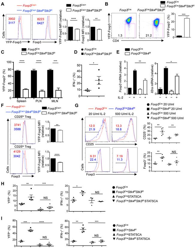 IFN gamma Antibody in Flow Cytometry (Flow)