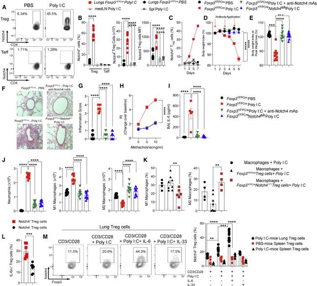 FOXP3 Antibody in Flow Cytometry (Flow)