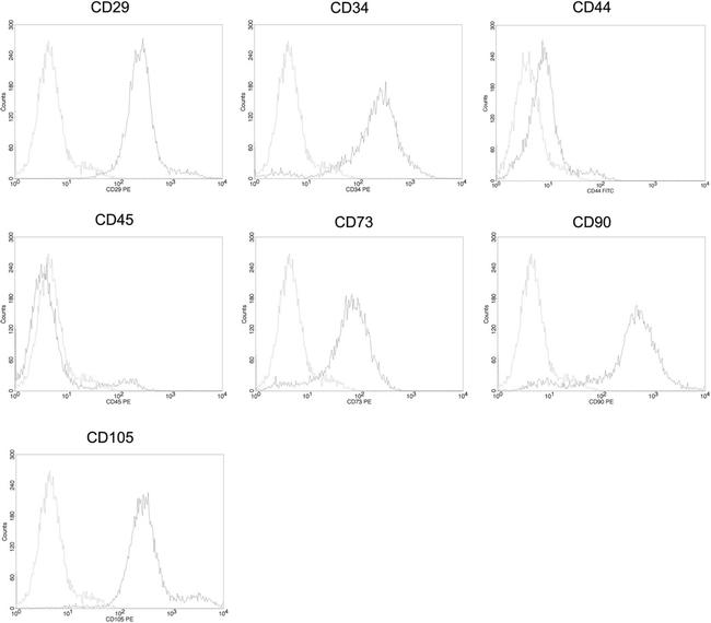 CD45 Antibody in Flow Cytometry (Flow)