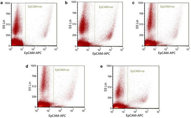 CD45 Antibody in Flow Cytometry (Flow)