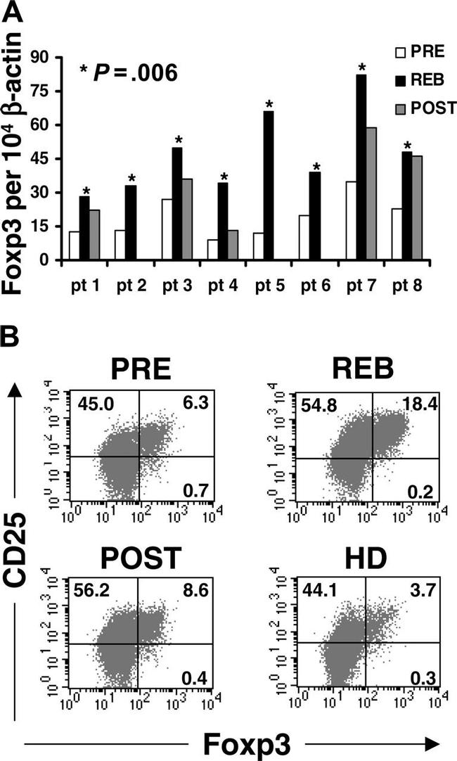 FOXP3 Antibody in Flow Cytometry (Flow)