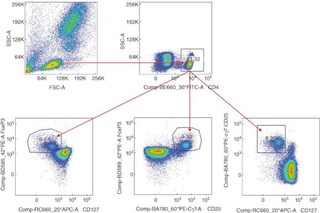 FOXP3 Antibody in Flow Cytometry (Flow)