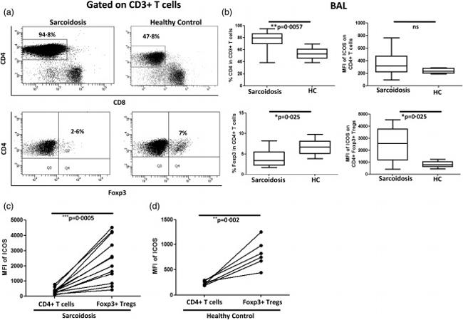 FOXP3 Antibody in Flow Cytometry (Flow)