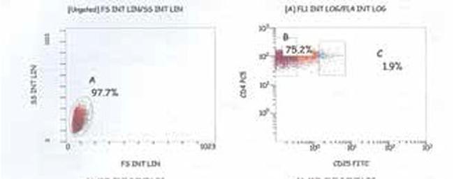 FOXP3 Antibody in Flow Cytometry (Flow)