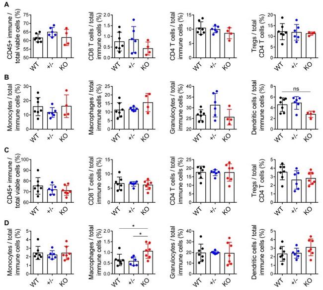 F4/80 Antibody in Flow Cytometry (Flow)