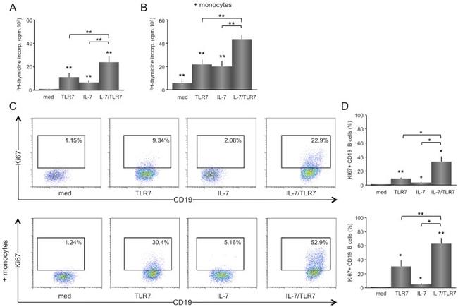 Ki-67 Antibody in Flow Cytometry (Flow)