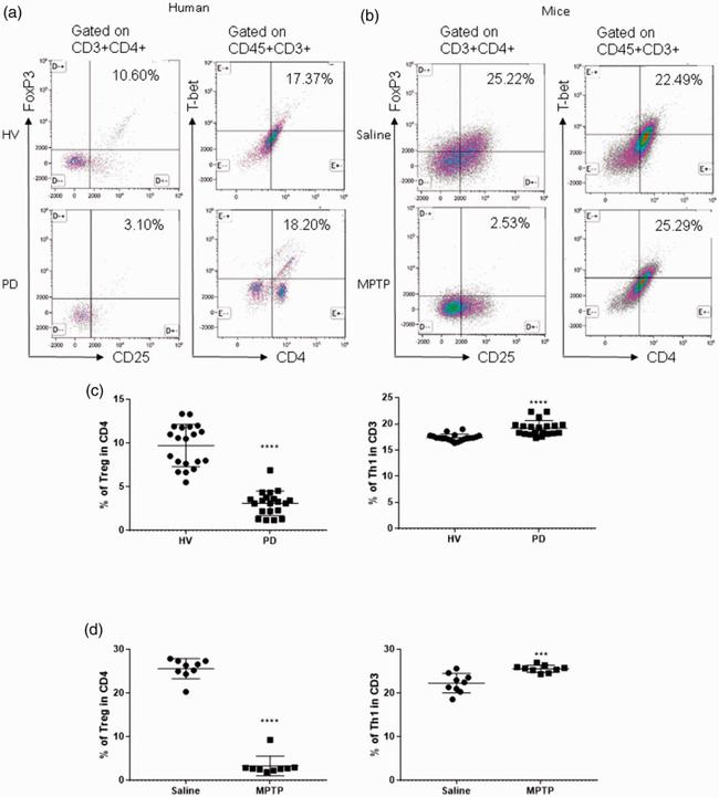 CD3e Antibody in Flow Cytometry (Flow)