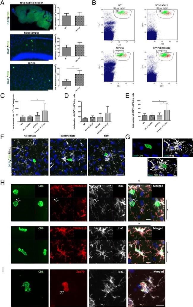 CD3 Antibody in Flow Cytometry (Flow)